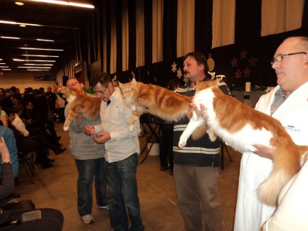 2010-12-12 Garfield Groningen Mundikat 03