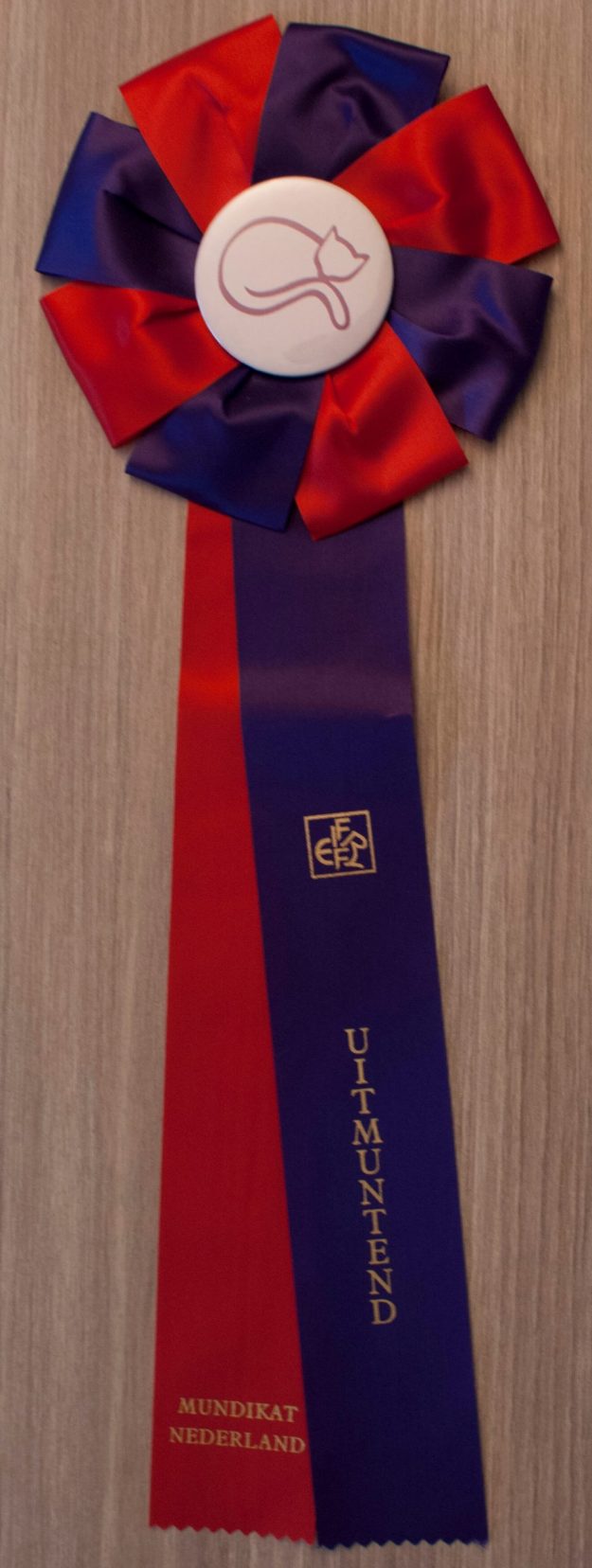 2010-12-12 MUNDIKAT Chriscoon Don Pablo UITMUNTEND - vaantje