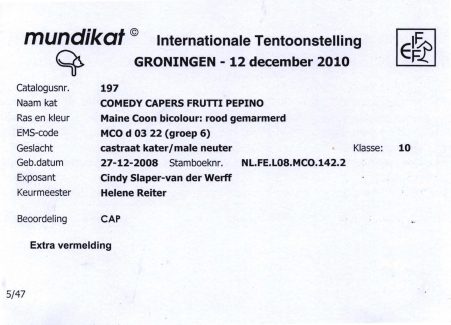 2010-12-12 MUNDIKAT Comedy Capers Frutti Pepino CAP 1-1