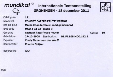 2011-12-18 MUNDIKAT Comedy Capers Frutti Pepino CAP 2-1