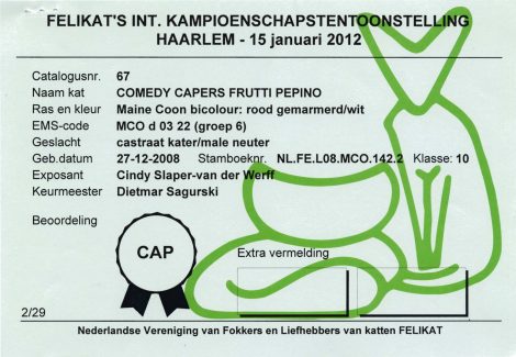 2012-01-15 FELIKAT Comedy Capers Frutti Pepino CAP 3-1