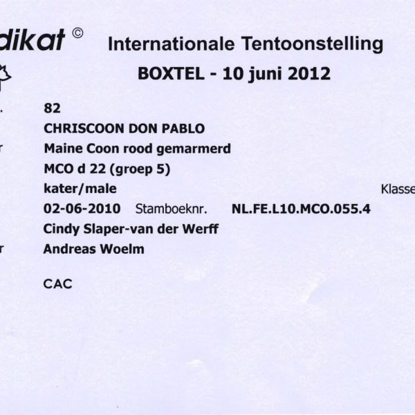 2012-06-10 MUNDIKAT Chriscoon Don Pablo CAC 2-1