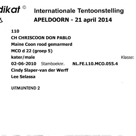 2014-04-21 MUNDIKAT Chriscoon Don Pablo UITMUNTEND-2-1