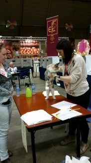 2014-04-21 Pluis Apeldoorn Mundikat 01