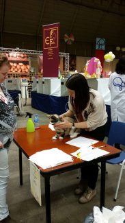 2014-04-21 Pluis Apeldoorn Mundikat 03