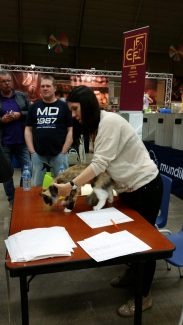 2014-04-21 Pluis Apeldoorn Mundikat 05