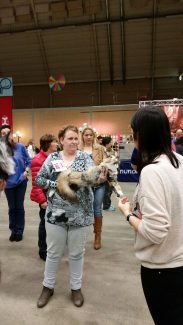 2014-04-21 Pluis Apeldoorn Mundikat 08