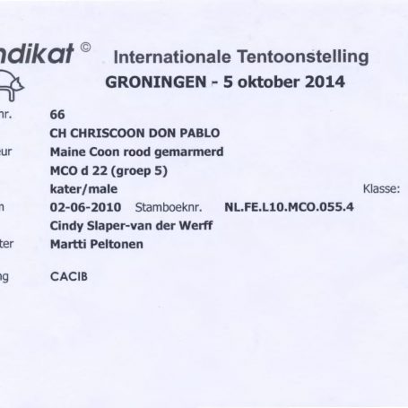 2014-10-05 MUNDIKAT Chriscoon Don Pablo CACIB 1-1