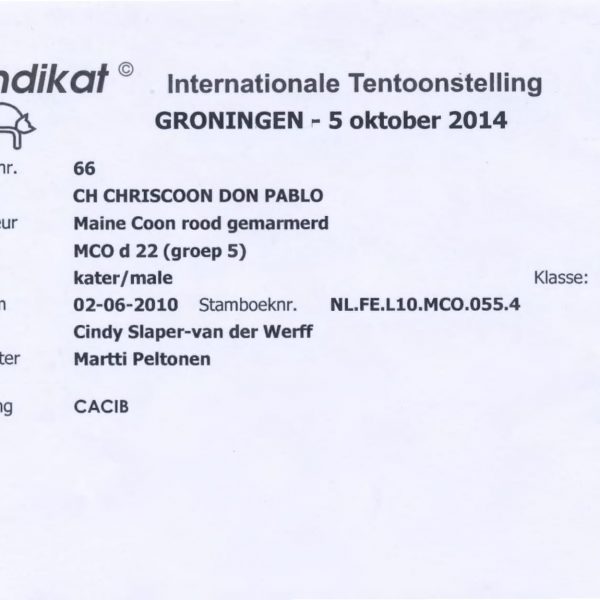 2014-10-05 MUNDIKAT Chriscoon Don Pablo CACIB 1-1