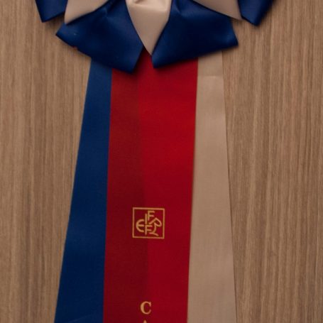 2014-10-05 MUNDIKAT Chriscoon Don Pablo CACIB - vaantje