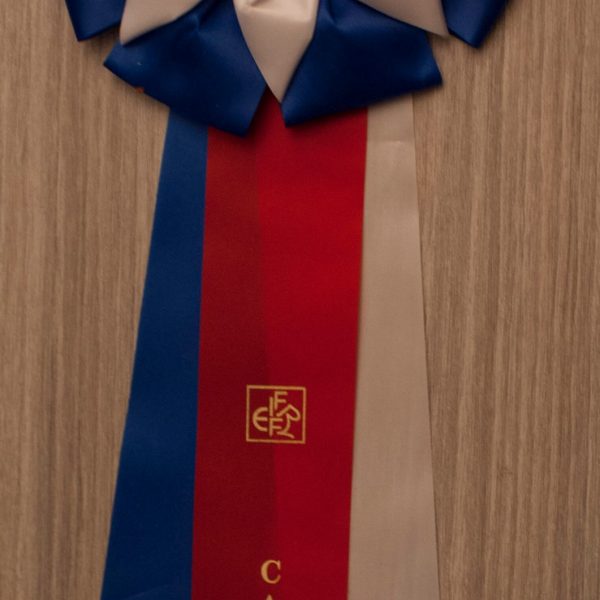 2014-10-05 MUNDIKAT Chriscoon Don Pablo CACIB - vaantje