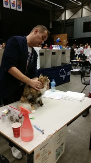 2014-10-05 Pluis Groningen Mundikat 01