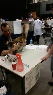 2014-10-05 Pluis Groningen Mundikat 02