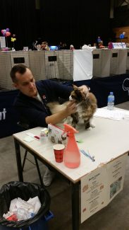 2014-10-05 Pluis Groningen Mundikat 04