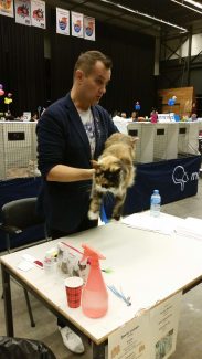 2014-10-05 Pluis Groningen Mundikat 05