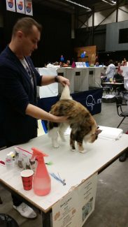 2014-10-05 Pluis Groningen Mundikat 06