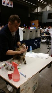 2014-10-05 Pluis Groningen Mundikat 07