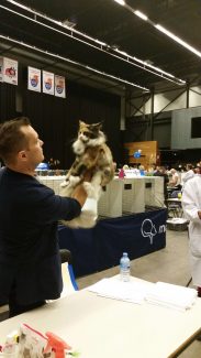 2014-10-05 Pluis Groningen Mundikat 08