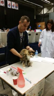 2014-10-05 Pluis Groningen Mundikat 09