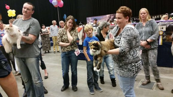 2014-10-05 Pluis Groningen Mundikat 10