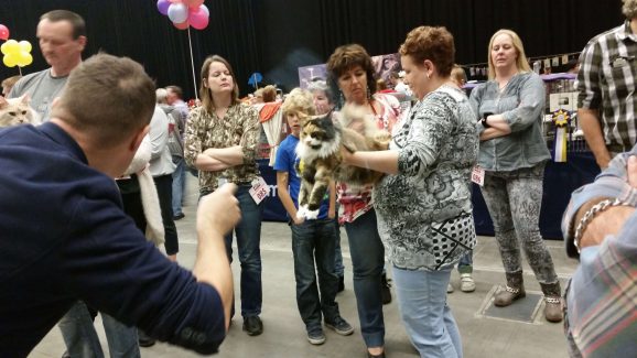 2014-10-05 Pluis Groningen Mundikat 11