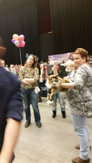 2014-10-05 Pluis Groningen Mundikat 12