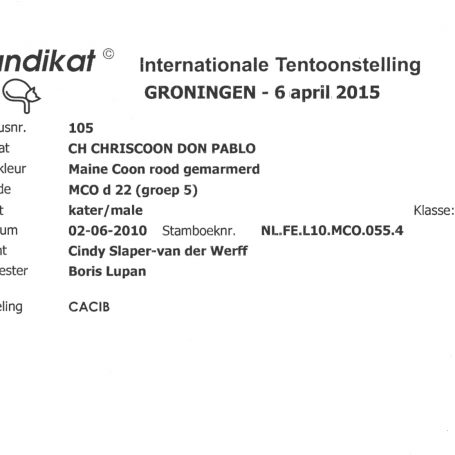 2015-04-06 MUNDIKAT Chriscoon Don Pablo CACIB 2-1