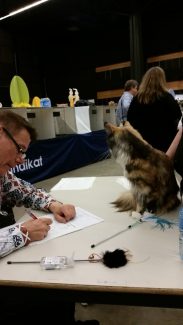 2015-04-06 Pluis Groningen Mundikat 02