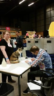 2015-04-06 Pluis Groningen Mundikat 04