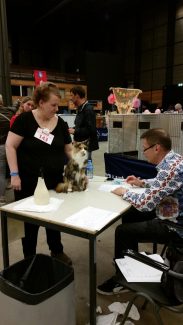 2015-04-06 Pluis Groningen Mundikat 05