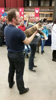 2015-04-06 Pluis Groningen Mundikat 09