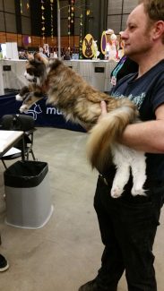 2015-04-06 Pluis Groningen Mundikat 17