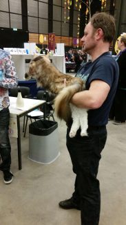 2015-04-06 Pluis Groningen Mundikat 22