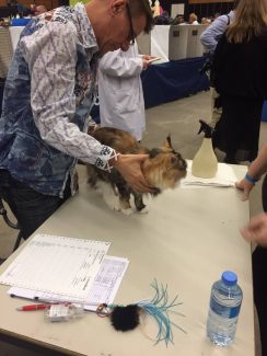 2015-04-06 Pluis Groningen Mundikat 24