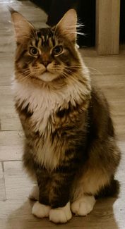 UA Elite Planet Narcissus (Gabber) 002