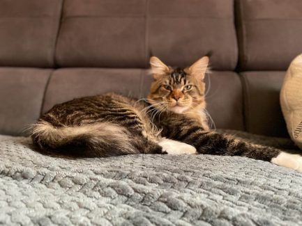 UA Elite Planet Narcissus (Gabber) 003