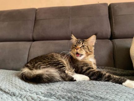 UA Elite Planet Narcissus (Gabber) 004