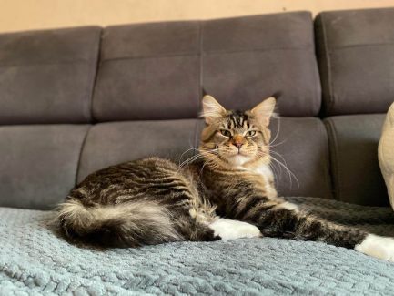 UA Elite Planet Narcissus (Gabber) 005