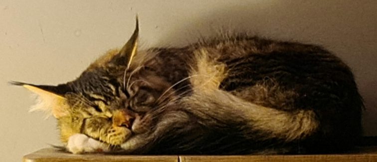 UA Elite Planet Narcissus (Gabber) 006