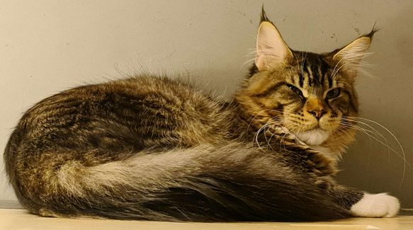 UA Elite Planet Narcissus (Gabber) 007