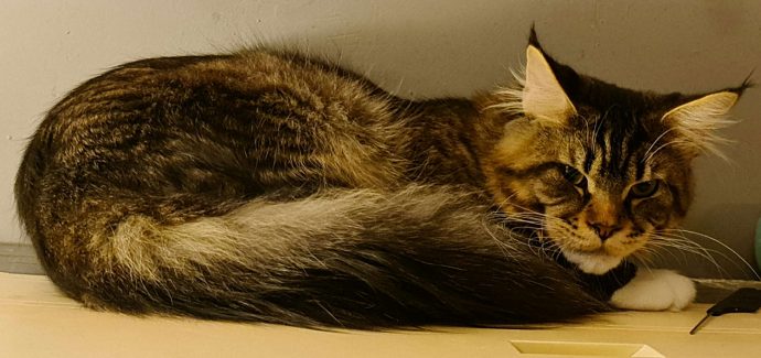 UA Elite Planet Narcissus (Gabber) 008