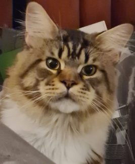 UA Elite Planet Narcissus (Gabber) 009